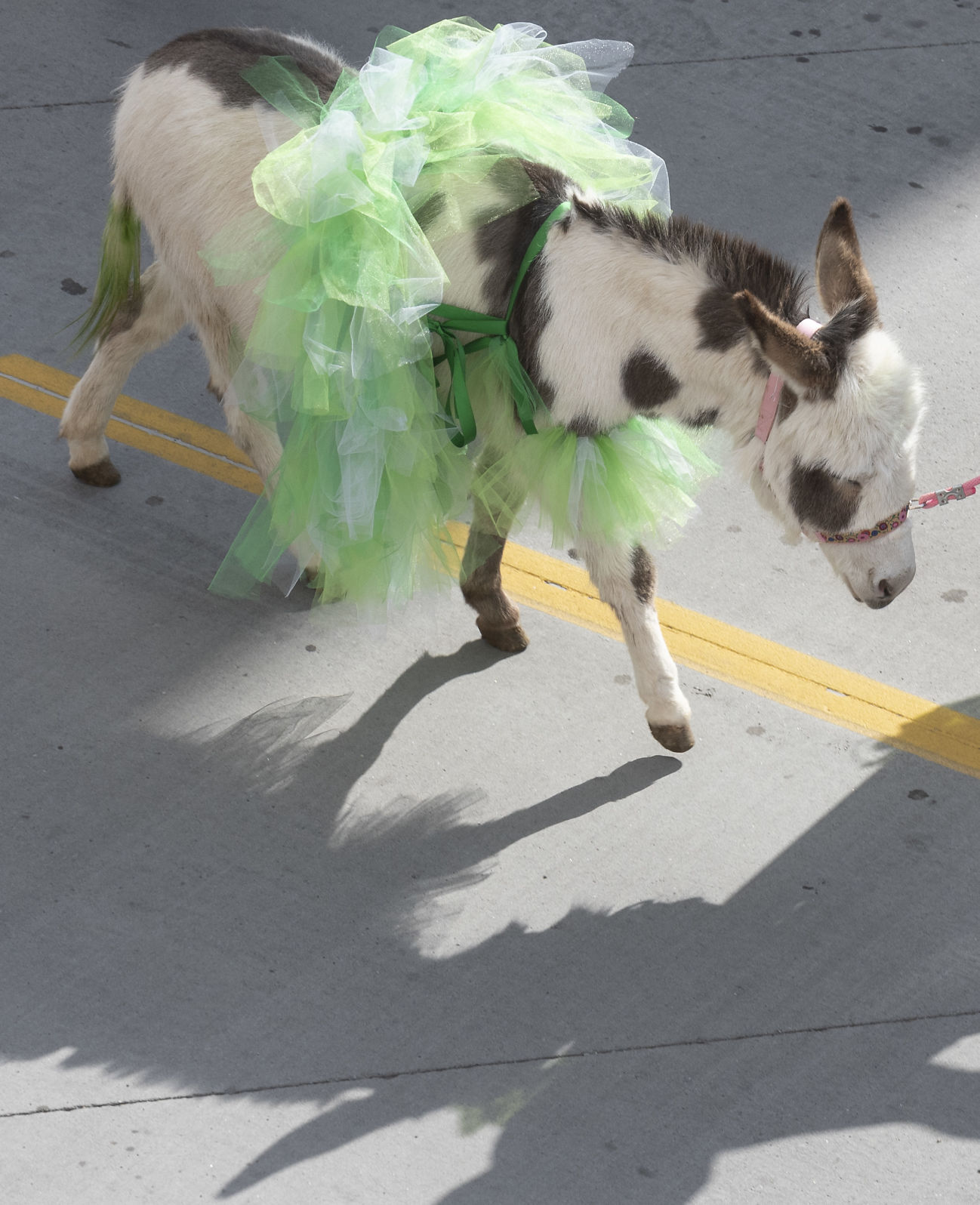 St. Patrick's Day Parade downtown